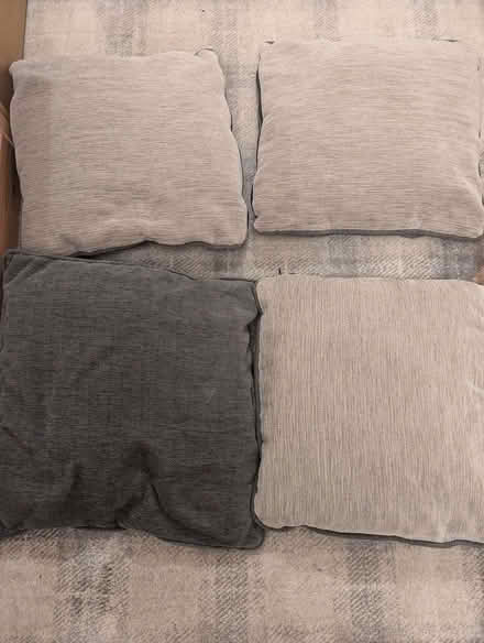 Photo of free Four cushions (Skelton CA11) #2