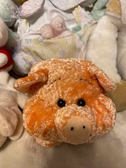Photo of free Stuff animals (like new) (Philadelphia, 19120) #4