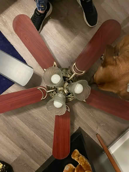 Photo of free Ceiling fan (Elkridge) #1