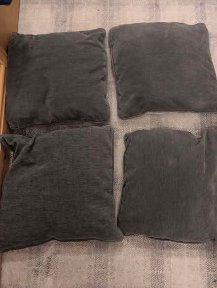 Photo of free Four cushions (Skelton CA11) #1