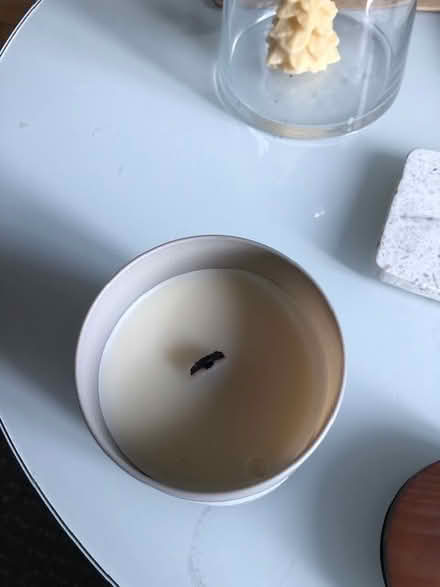 Photo of free 'Manly' scented candle (Golden Triangle) #2