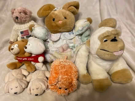 Photo of free Stuff animals (like new) (Philadelphia, 19120) #1