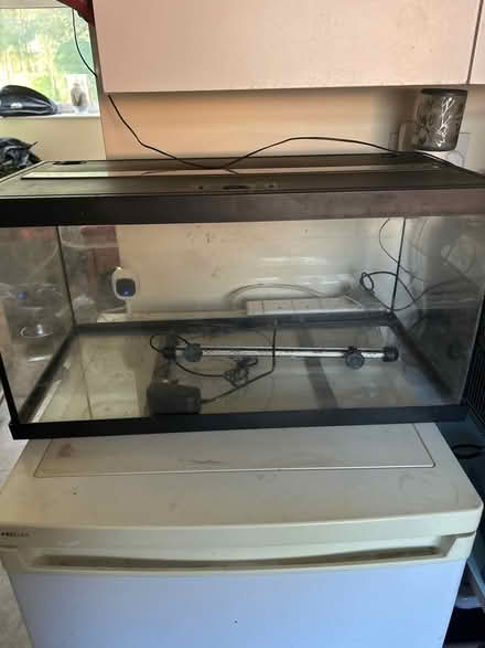 Photo of free Fish/reptile tank and light (Swanland HU14) #1