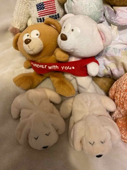 Photo of free Stuff animals (like new) (Philadelphia, 19120) #2