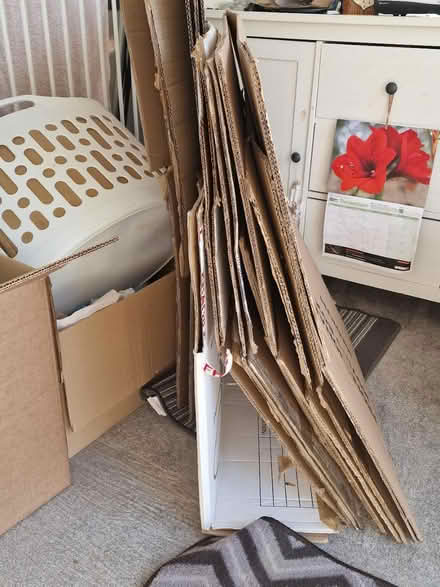 Photo of free Removal strong boxes plus packing (BN27) #3