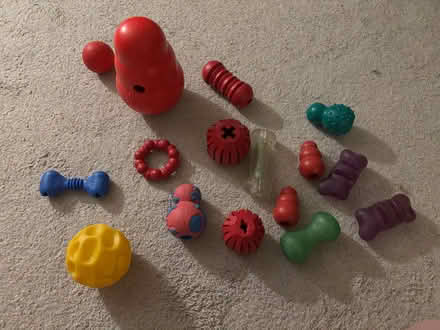 Photo of free Dog toys (Silver Spring) #1