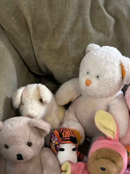 Photo of free Bag of Gently Used Stuffed Animals (West Adams near USC) #3