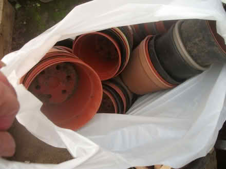 Photo of free plants pots (Brafield-on-the-Green) #2