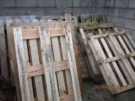 Photo of free Pallets (Union Park TR11) #1