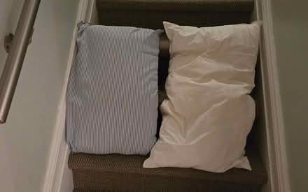 Photo of free Clean pillows (South Keys/Greenboro) #1