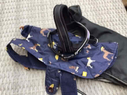 Photo of free Dog harness and coats (Wellington) #1