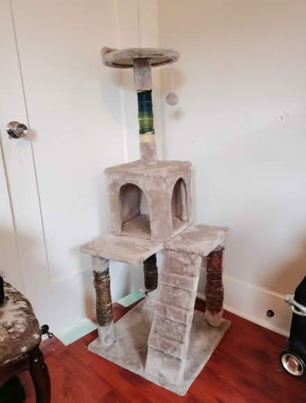 Photo of free Cat tree (Millmount) #2