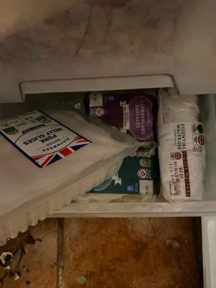 Photo of free Frozen Food (CT11) #1