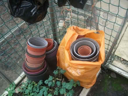 Photo of free plants pots (Brafield-on-the-Green) #1