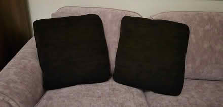 Photo of free Throw pillows for sofa (South Keys/Greenboro) #1