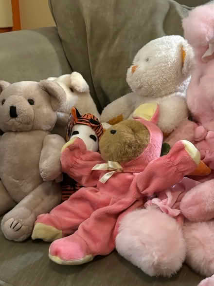 Photo of free Bag of Gently Used Stuffed Animals (West Adams near USC) #2