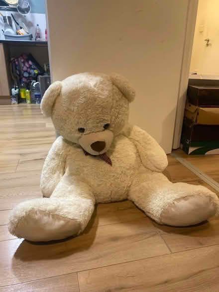 Photo of free Massive teddy needs a loving home (CR4) #1