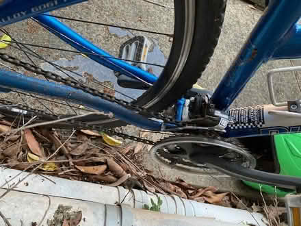 Photo of free Bicycle (dumped) (Lane Cove north) #1