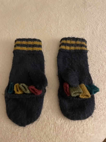 Photo of free Boys Joules fingerless gloves (Appleton) #1