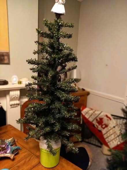 Photo of free very tiny Xmas tree (Meadowhead S8) #1