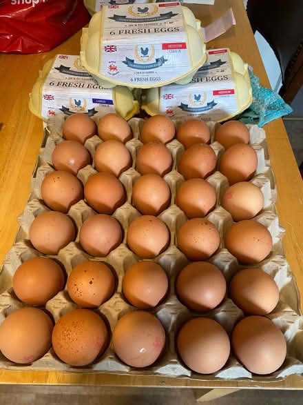 Photo of free eggs! (Presteigne LD8) #1