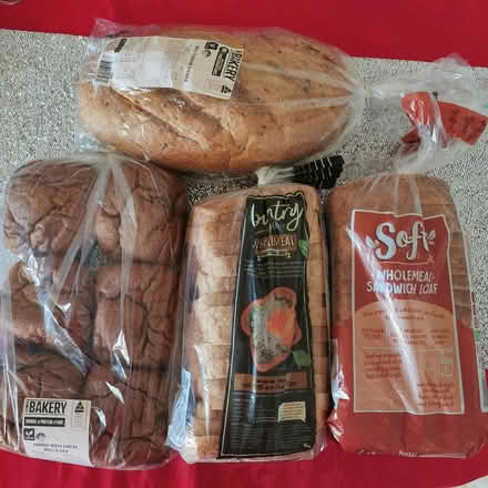 Photo of free Bread & Veggies Pickup Rockdale (Rockdale NSW 2216) #2