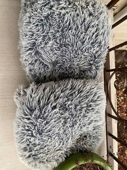 Photo of free Two Puffy Pet Beds - Wilmette (Catalpa and Oakwood - Wilmette) #1