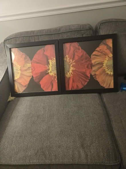 Photo of free Decorative pictures (Canarsie) #1