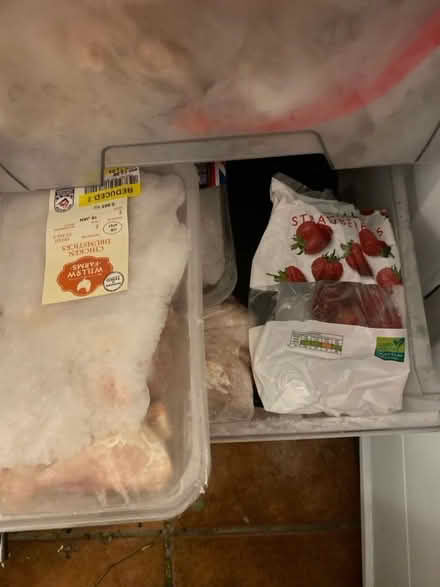 Photo of free Frozen Food (CT11) #2