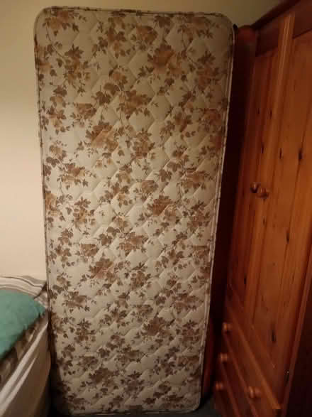 Photo of free 3' (single) sprung mattress. (Howey LD1) #1