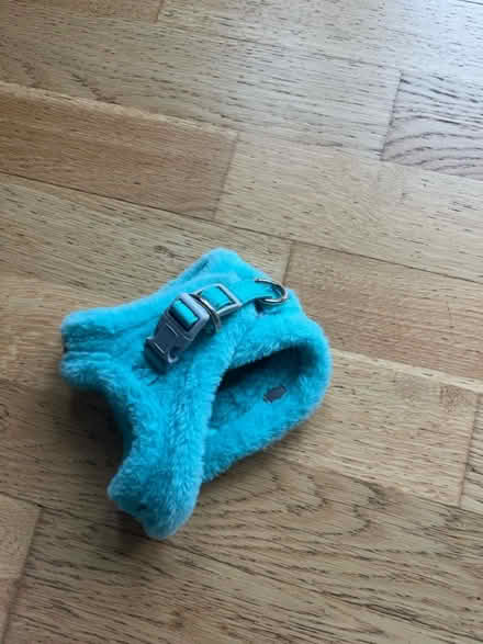 Photo of free Cat harness (Holloway N7) #1