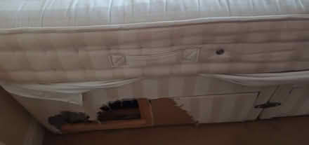 Photo of free Double bed (TQ2) #3