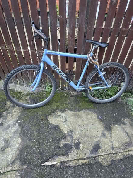 Photo of free Bicycle 🚲 (Darnall S9) #1