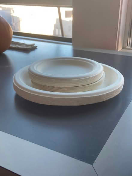 Photo of free Paper plates (South Boston) #1