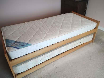 Photo of free Single bed and guest bed (Strete TQ6) #1