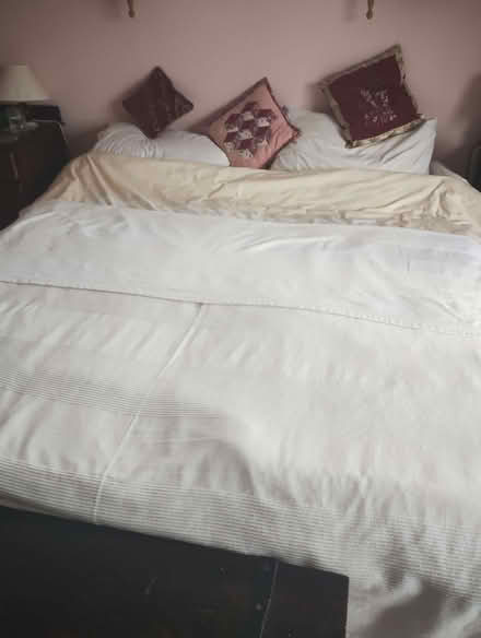 Photo of free Single bed and guest bed (Strete TQ6) #2