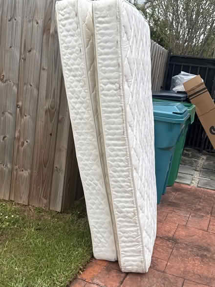 Photo of free 2 sealy full sized mattresses (Westchester) #2