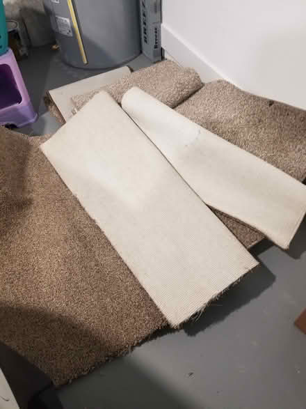 Photo of free Various large Carpet and Runners (Oklawaha) #1