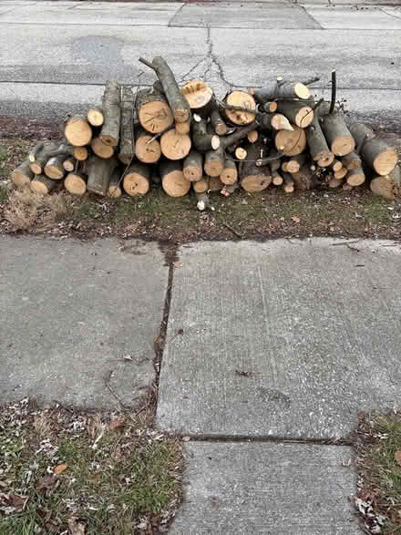 Photo of free Logs (Irvington area) #1