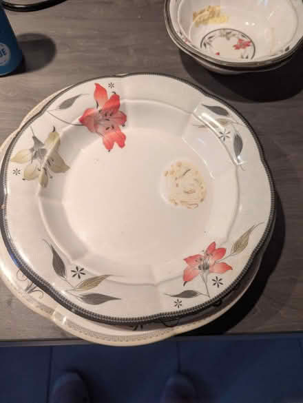 Photo of free 5 Ceramic plates (WF2. Silcoates) #3