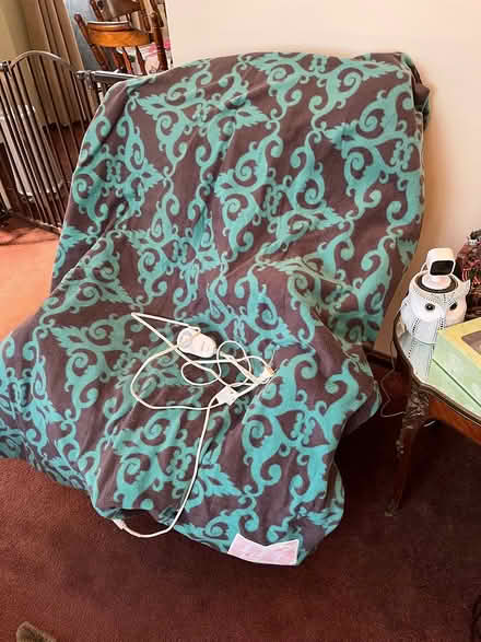 Photo of free Sunbeam Electric Throw Blanket (Harbor Area) #1