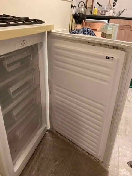 Photo of free Working freezer (Bow E3) #3