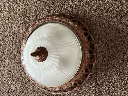 Photo of free Ceiling Light and cover (Roselle, Il) #3