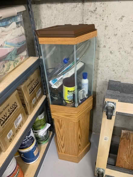 Photo of free Hexagon Aquarium and Stand (Milford, NJ) #1