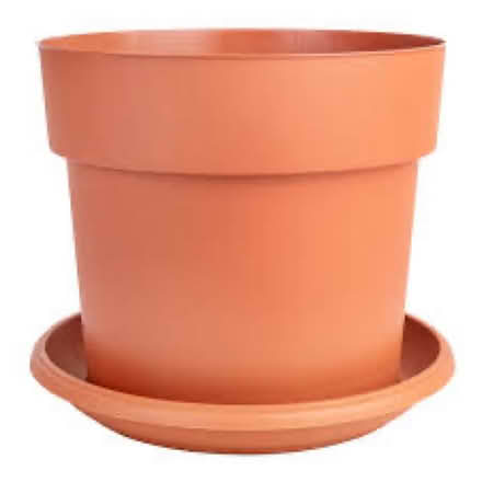 Photo of Plant pots with saucers (NW6 West Hampstead) #1