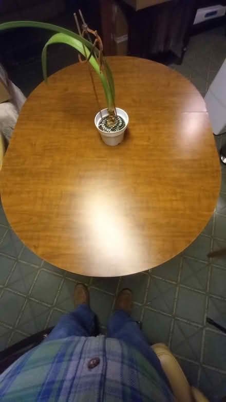 Photo of free Dinning Table (Old Bowie) #1