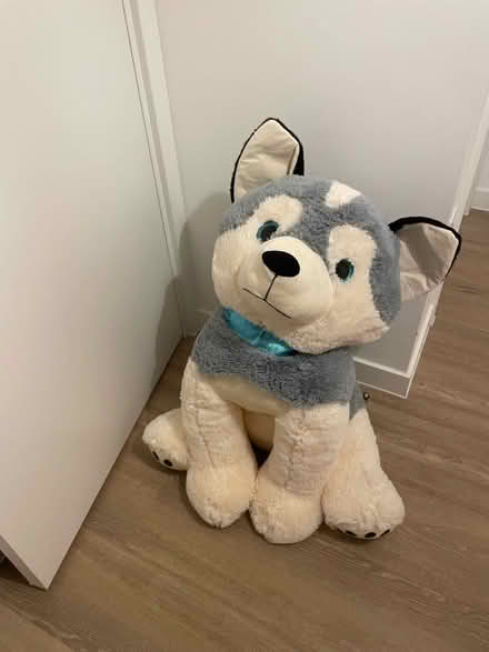 Photo of free Large Plush Dog (W2) #1