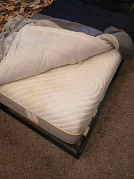 Photo of free Mattress (West Sunshine St/Golden Ave.) #1