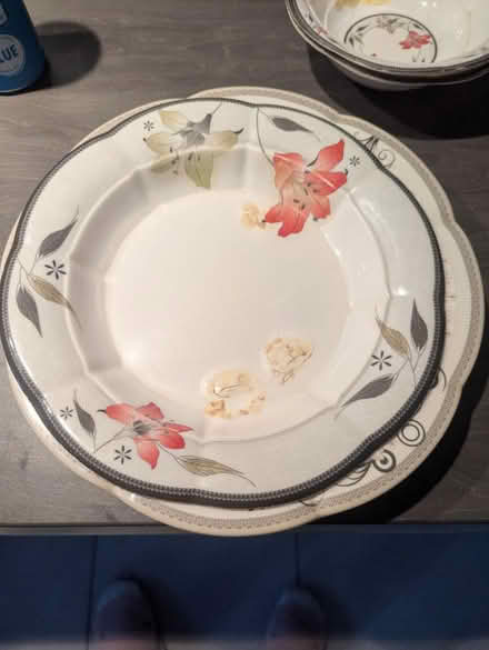 Photo of free 5 Ceramic plates (WF2. Silcoates) #4