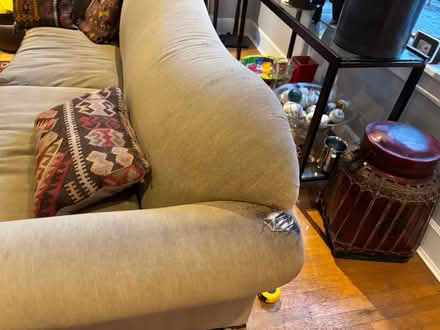 Photo of free Sofa (NE Seattle) #4